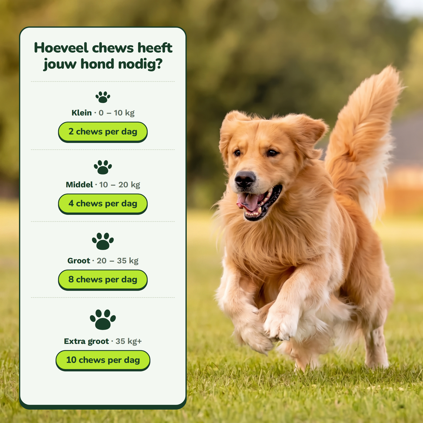 Hip & Joint Chews - Actievoorraad