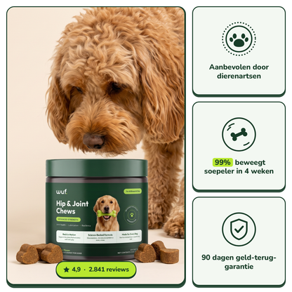 Hip & Joint Chews - Actievoorraad