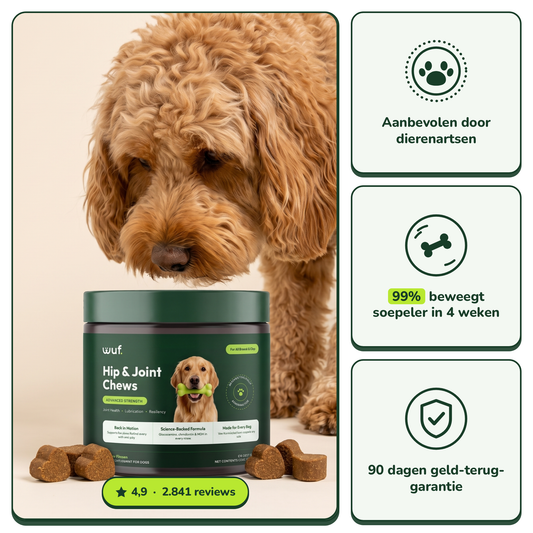 Hip & Joint Chews - Actievoorraad