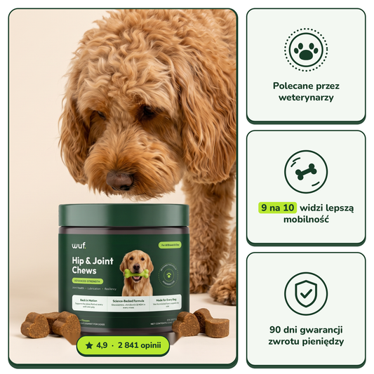 Hip & Joint Chews