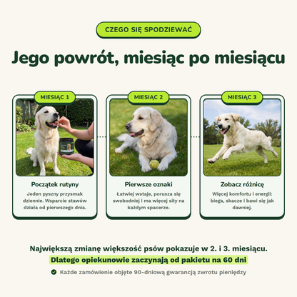Hip & Joint Chews