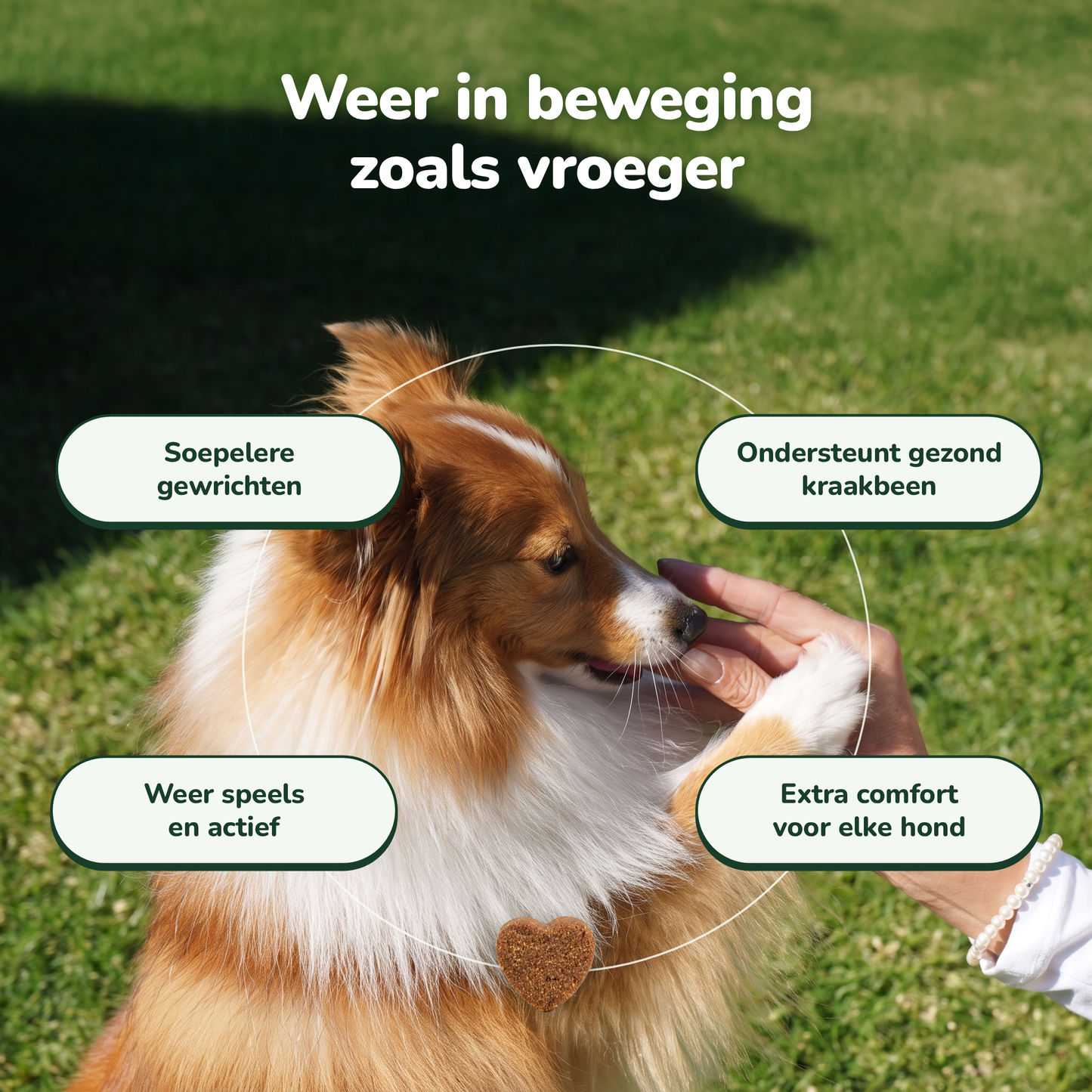 Hip & Joint Chews - Actievoorraad