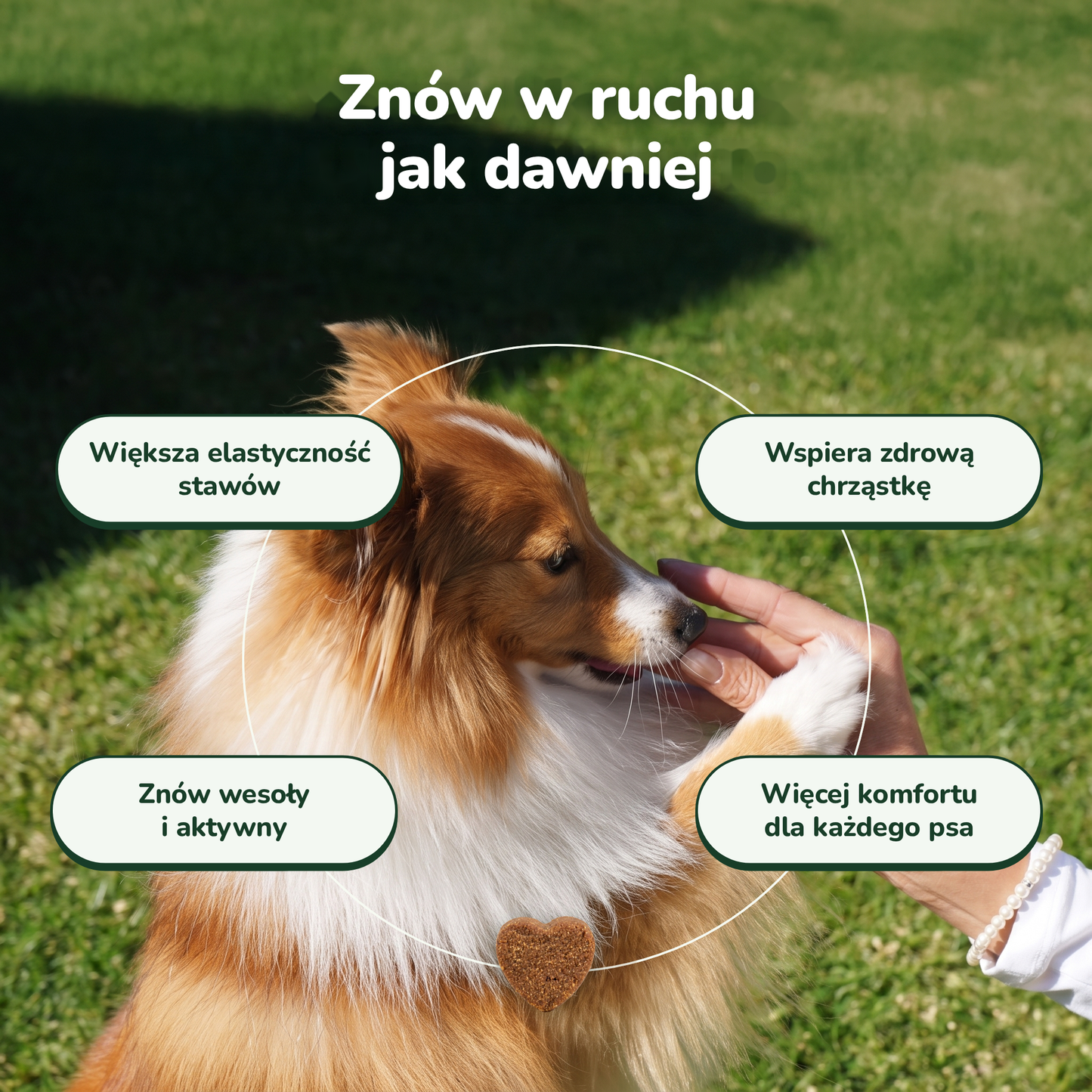 Hip & Joint Chews