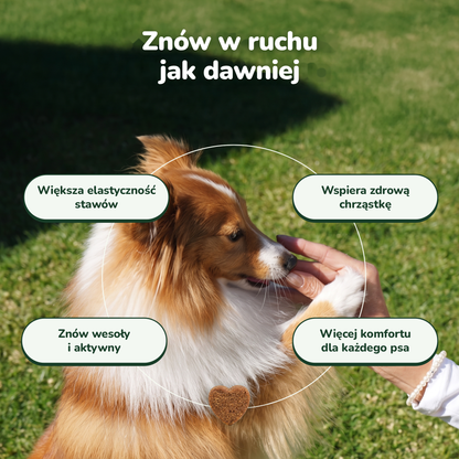 Hip & Joint Chews